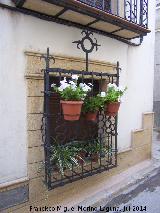 Casa de la Calle Carrera n 34. Reja de rosetas