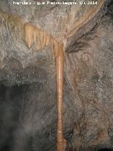 Cueva de la Murcielaguina. Columna