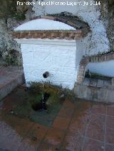 Fuente de la Jordana. 