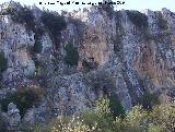 Cueva de la Graja. 