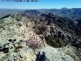 Empanadas. Vistas hacia el Cerro de la Carrasca