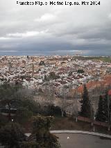 Linares. 