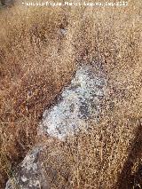 Yacimiento Cortijo del Fondo de las Caseras de San Isidro. Muro