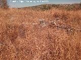 Yacimiento Cortijo del Fondo de las Caseras de San Isidro. 