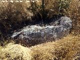 Yacimiento Cortijo del Fondo de las Caseras de San Isidro. 