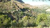 Despoblado del Cerro de la Atalaya. 