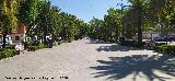 Paseo de Linarejos. 