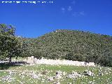 Tinada de Mata Bejid. 