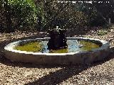 Fuente de Mata Bejid. 