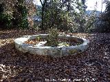 Fuente de Mata Bejid. 