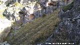 Cerro La Veleta. Abrigos bajos