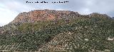 Cerro La Veleta. 