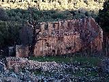 Cortijo del Moro. 