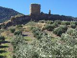 Castillo Vboras. 