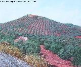 Cerro de la Atalaya. Cuadro de Pedro Merino Megas. Cara este del cerro