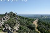 Castillo de Torre Alver. Vistas