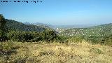 La Yedra. Vistas hacia Fuensanta de Martos