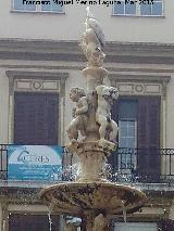 Fuente de Gnova. 