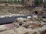 Teatro Romano de Mlaga. 