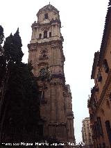 Catedral de Mlaga. Campanario