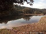 Lagunilla de la Fuente del Gazpacho. 