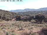 Puesto de caza del Cerro de la Parrilla. Vistas