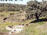 Corral de La Cndila. En primer trmino el lavadero