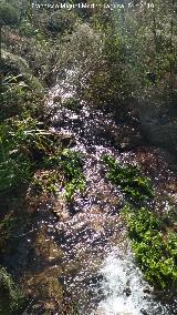 Cascada del Chorren. Arroyo antes de caer por la cascada