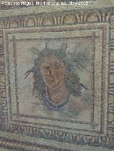 Villa Romana de Bruel. Mosaico romano, busto de Thetis con patas de cangrejo en la cabeza y serpiente en el cuello. Museo Provincial de Jan