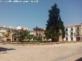 Plaza del Ayuntamiento. 