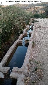 Fuente de las Pilillas. 