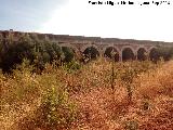 Puente del Arroyo Zapatera. 