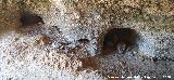Casas Cueva del T�o Rat�n. Hornacinas