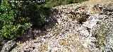 Casas Cueva del T�o Rat�n. 