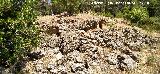 Casas Cueva del T�o Rat�n. 