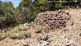 Casas Cueva del T�o Rat�n. 