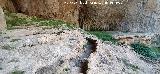 Cueva de las Grajas. 