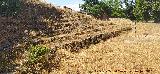 Campo de F�tbol del Centenillo. 