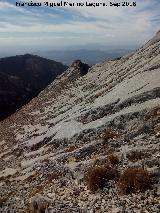 Pen del Guante. Ladera sur