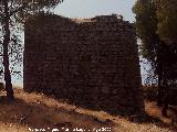 Castillo de Arenas. Recinto Inferior. Torren con habitculo