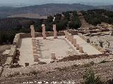 Torreparedones. Baslica. 