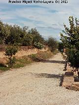 Camino del Chascarrillo. 