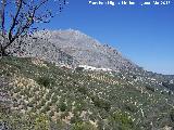 Albanchez de Mgina. Desde la Cabecera del Ro Albanchez