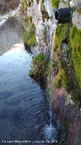 Fuente del Espino. Cao