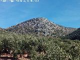 Cerro Cuevas Terrizas. 