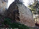 Castillo de Abrehuy. Torren Sur II. 