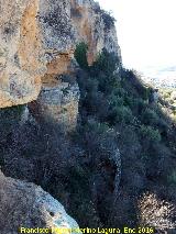 Abrigo del Carnero. Vistas de los Tajos de San Marcos desde el abrigo