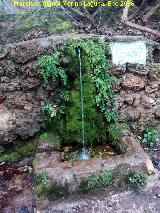 Fuente del Bar del Charco de la Pringue. 