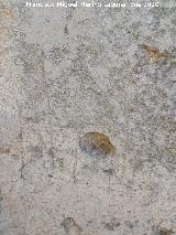 Castillo de Oti�ar. Aljibe. Alquerque