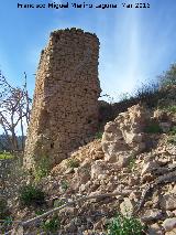 Molino de Ramn. 